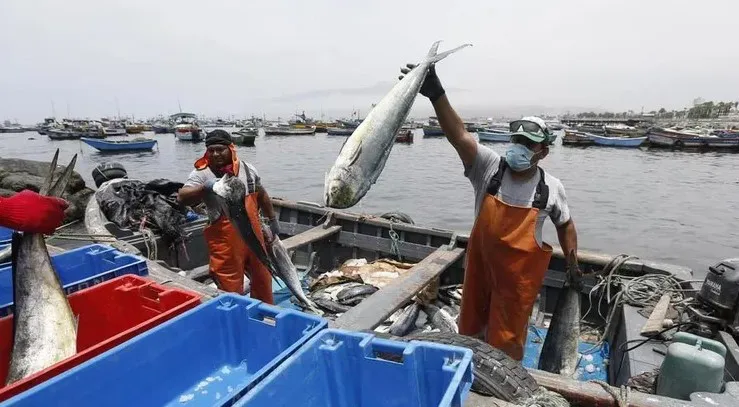 Pescadores amenazados