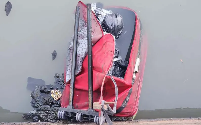 Los restos de Perez Algaba