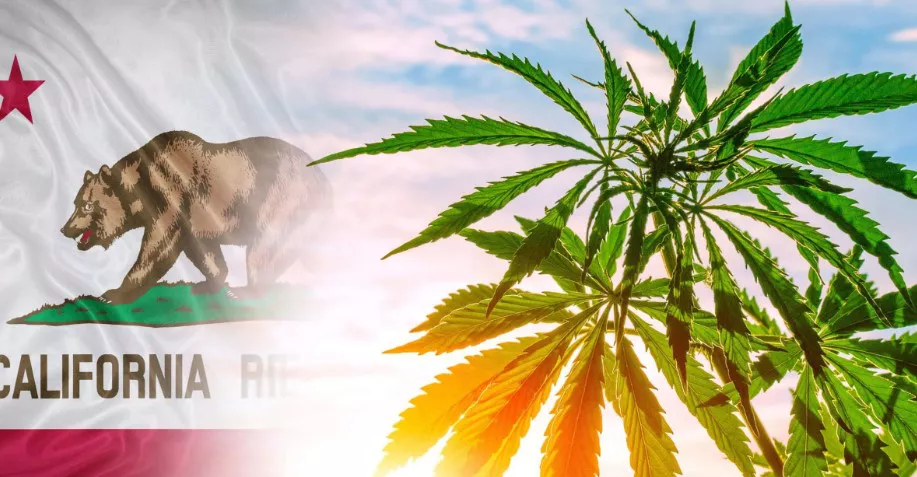 Cannabis en california