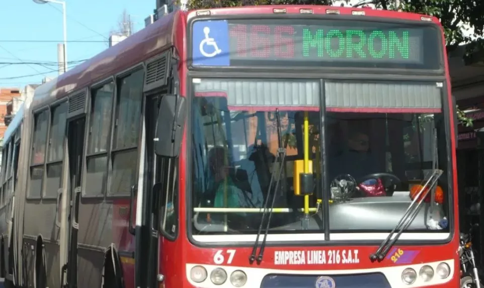Linea 166