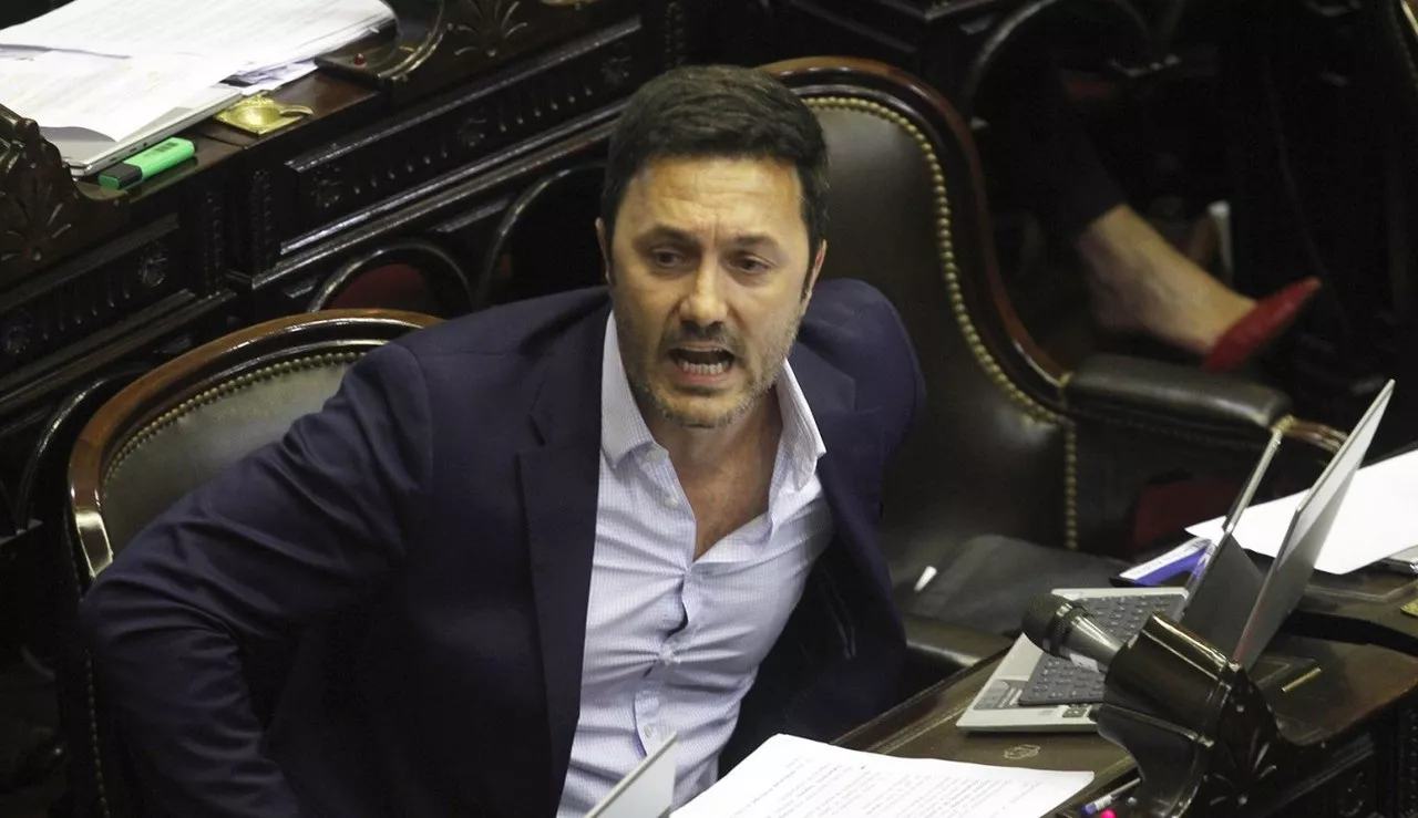 LUIS PETRI